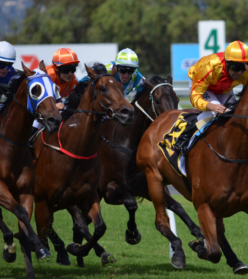 Cheltenham Gold Cup Festival