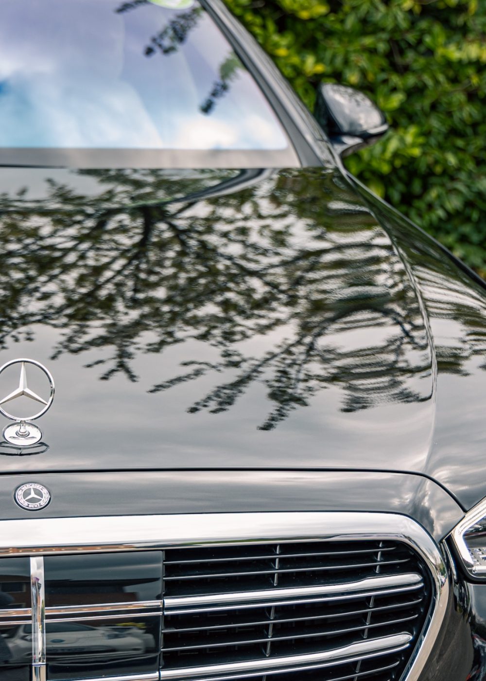 Chauffeur Services for City Rides